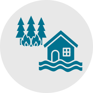 home risk icon