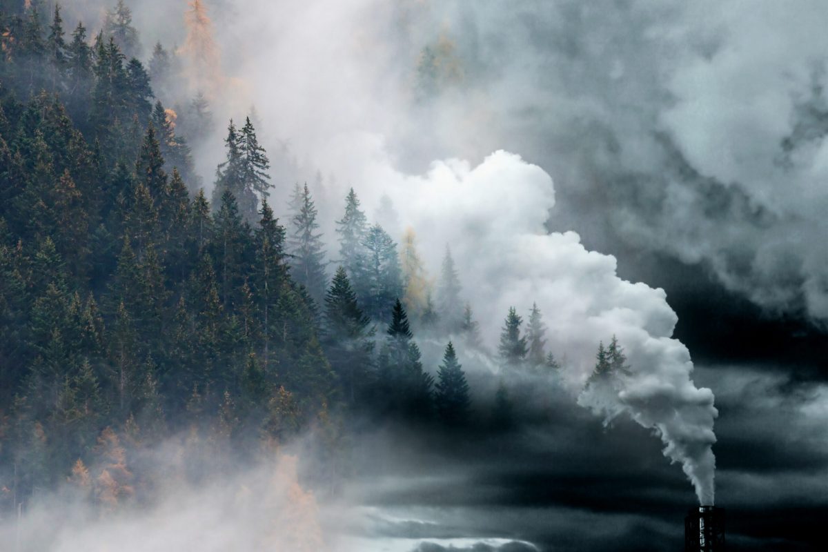 factory smoke covering pine forest double exposure global warmin