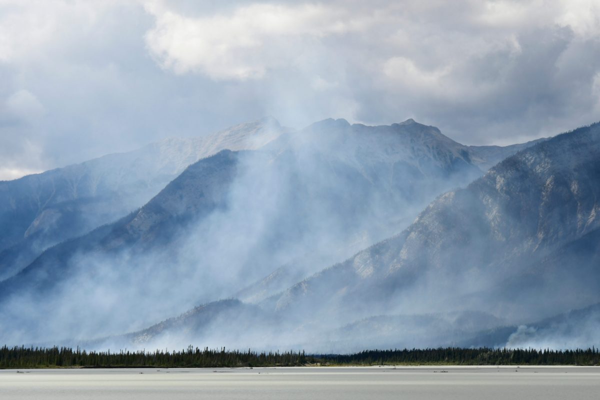 An image of thick grey smoke from a forest fire in Jasper National Park.
